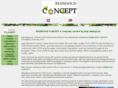 reijngoudconcept.net