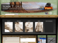 scottsdaleplasticsurgeon.com
