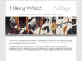 harrywhitecollage.com