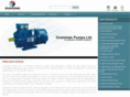 ovamannpumps.com