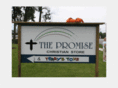 promisetoys.com