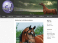 wilkearabians.com