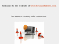 brainsntalents.com