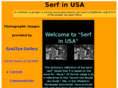 serfinusa.com