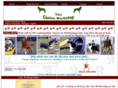 thecanineworkshop.net