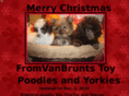 vanbruntstoys.com