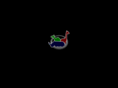 binaryzoo.com
