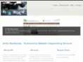 inawordcopywriting.com
