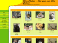 kittenphotos.net