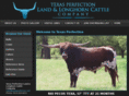 texasperfection.com