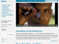 brazilinfocus.com