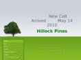 hillockpines.com