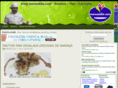menualdia.com