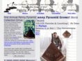 pennypyramidproject.com