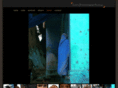 astridpohlmeierphotos.com