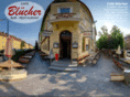 bluecher.info