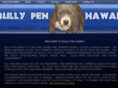 bullypenhawaii.com