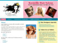 hairdesignersknoxville.com