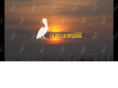 lapelladesigns.com