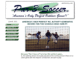 par3soccer.com