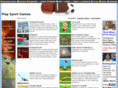 playsportgames.org