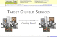 targetoilfield.net