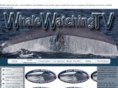 whalewatchingtv.com