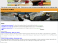 commonpuffins.com
