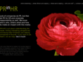 prinhr.net