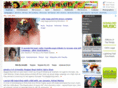 reggaedaily.com