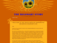 bigsmartstory.com