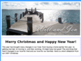 bluelevelsolutions.com