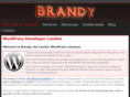 brandydigital.com