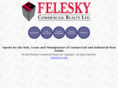 feleskycom.com