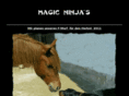 magic-ninja.com