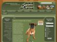 animalclinicofclayton.com