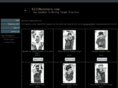 monstertargetpractice.com
