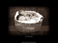 studiothree-sixteen.com
