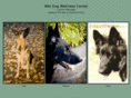 wetdogwellness.com