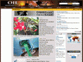 africanoil.com