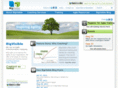 bigvisible.org