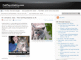 catpsychiatry.com
