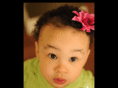 sda-photography.com