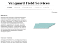 vanguardfs.com