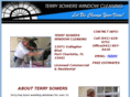 tswindowcleaning.com
