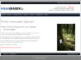webbasix.com