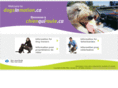 chienquiroule.ca