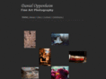 danoppenheim.com