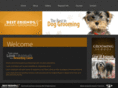 niagaragroomingacademy.com