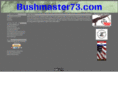 bushmaster73.com